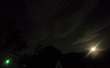 Failed attempt at low-light photography.